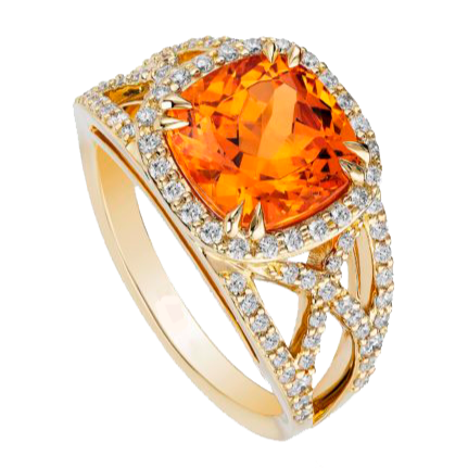 Vital Circle Vital Circle